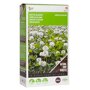 Buzzy® Groenbemester Witte Klaver